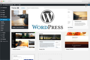 WordPress-updaten